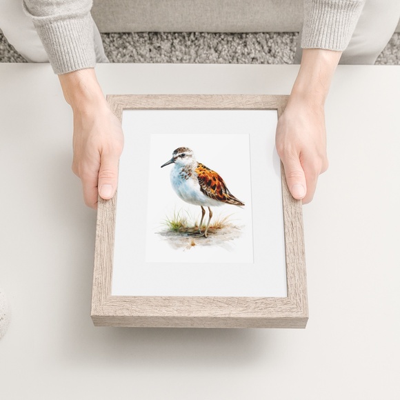 Watercolor Sandpiper Bird Portrait Wall Art Print, Unframed - Coastal Serenity - Picture 6 of 7